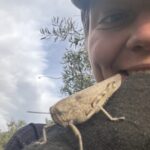 Besucher bei der Ernte